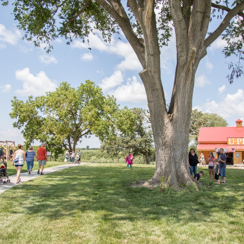 kimmel apple orchard u-pick barn and visitors
