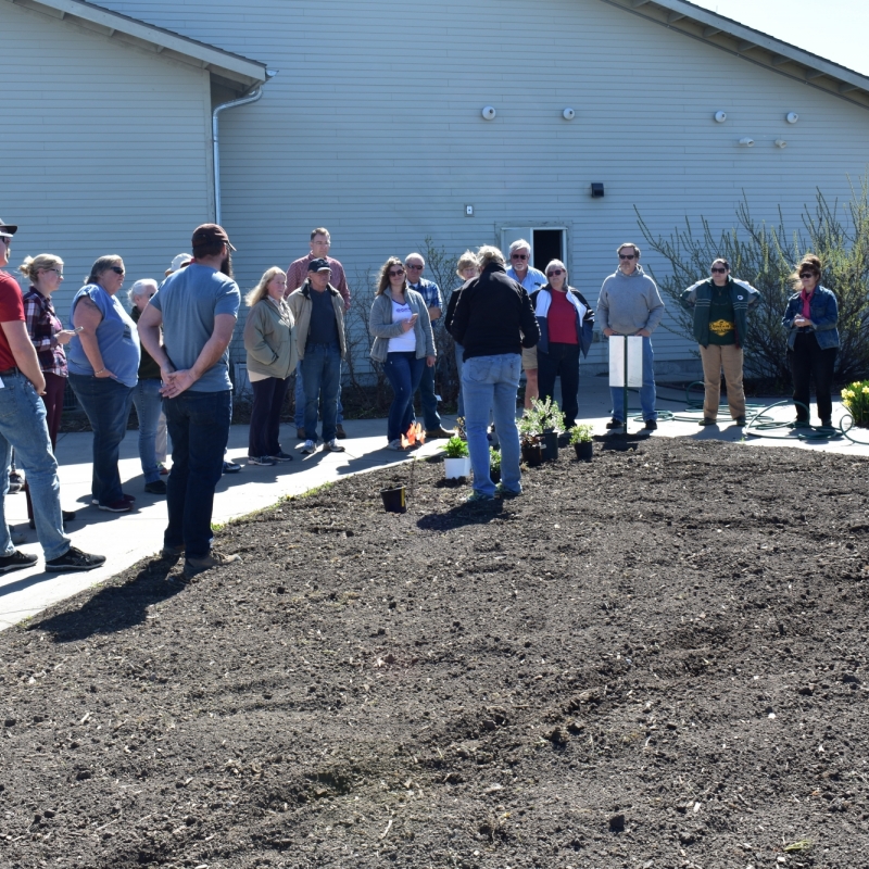 planting beds