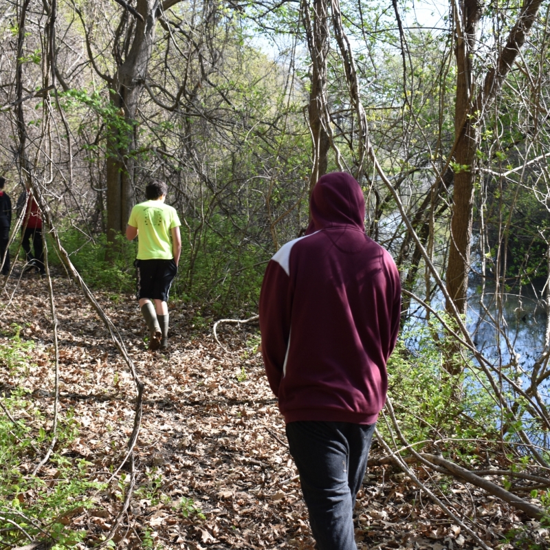 nature trail