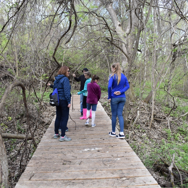 class on bridge