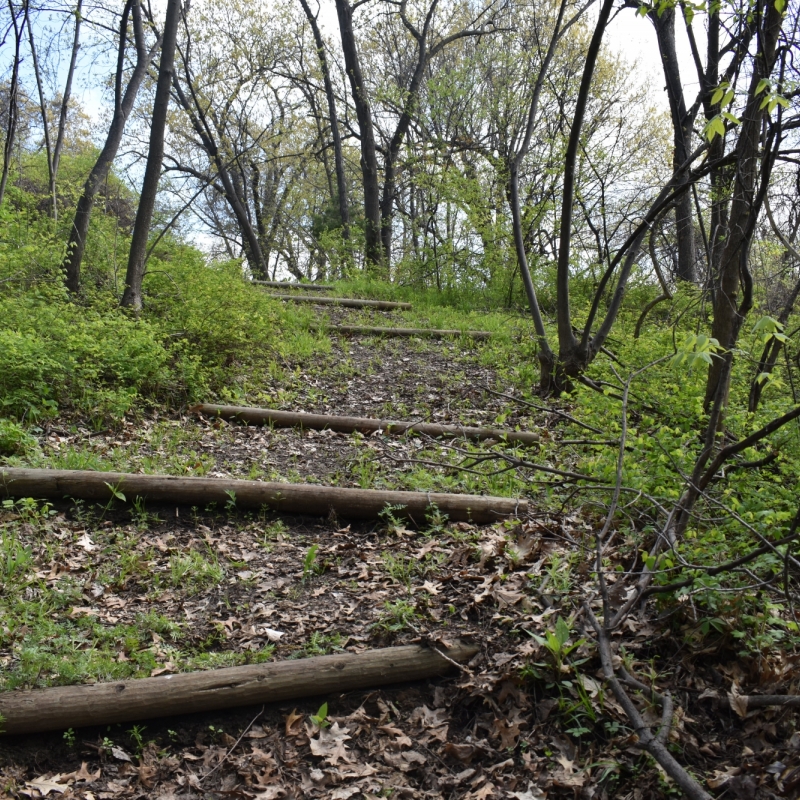 walking path