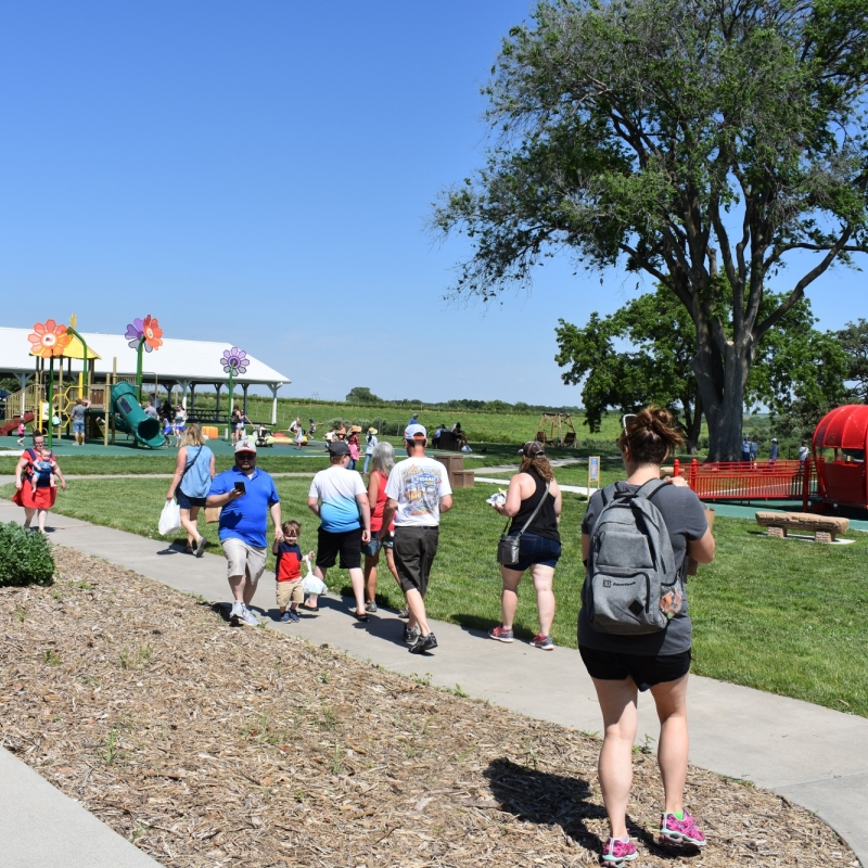 busy playground