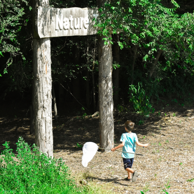 excited boy in nature trail