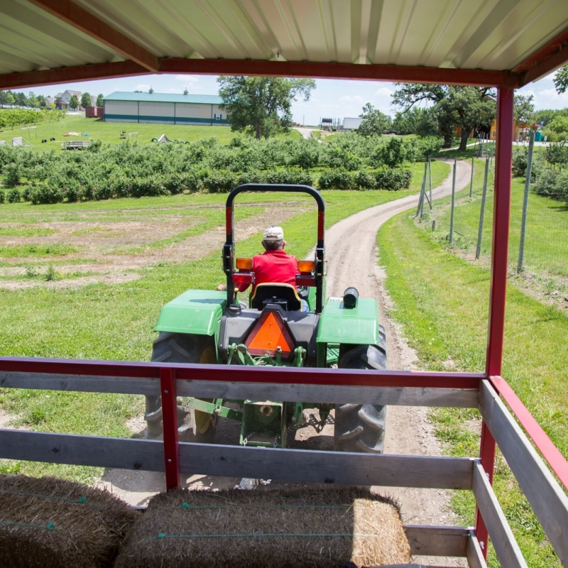 guy driving hay rack