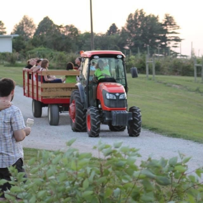 hay racks