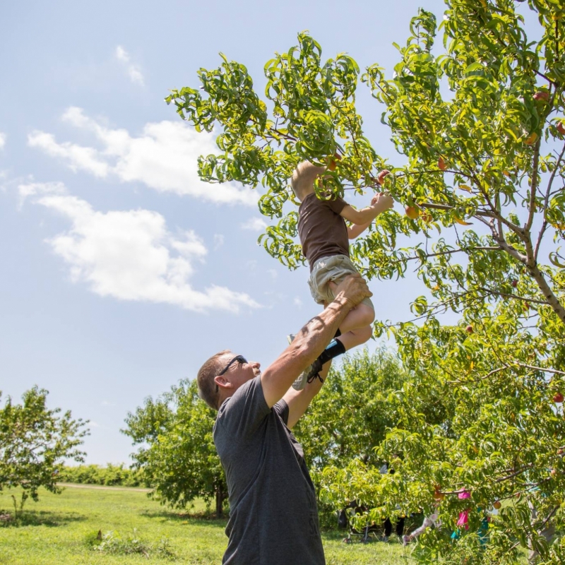 dad holding kid