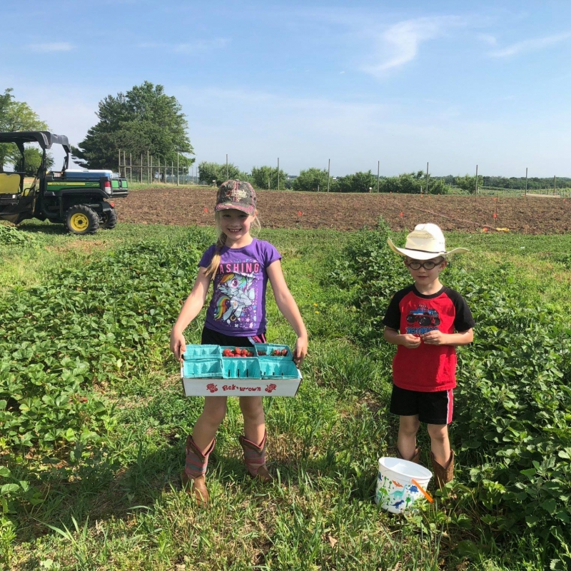 kids strawberries