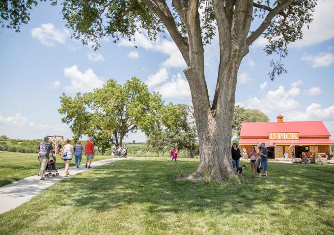 kimmel apple orchard u-pick barn and visitors